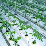 Водоподготовка в растениеводстве и теплично-парниковых хозяйствах