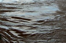 Высокоцветные маломутные воду